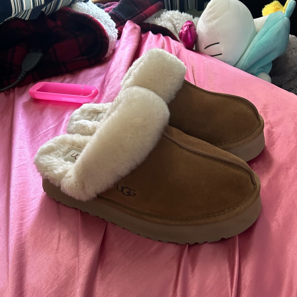 Ugg disquette chesnut